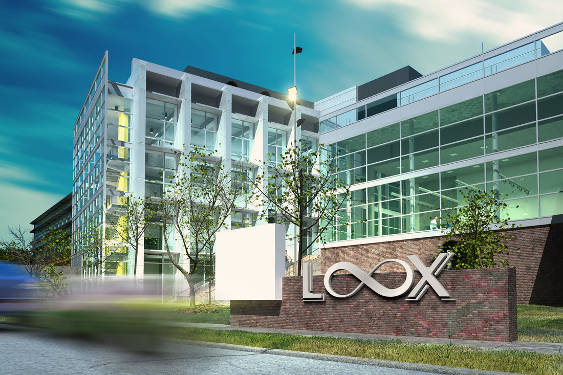 LooX Company Europe: A Central Hub in Madrid