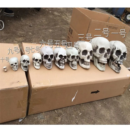 Statues Sculptures Halloween Decorations Artificial Skull Head Model Plastic Skull Bone Scary Horror Skeleton Party Bar Ornament