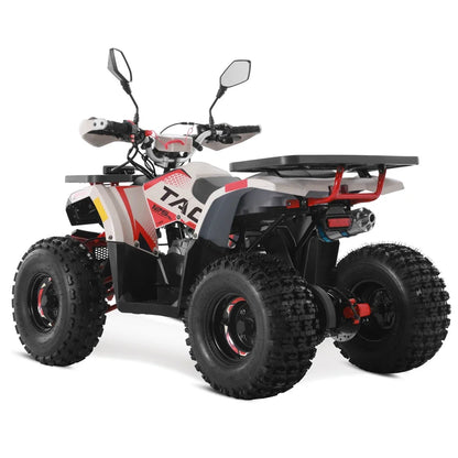 Tao Motor 2024 Off Road Farm Cheap ATV Gas Powered 4 wheel Quad Bike Automatic 4 stroke engine 125cc ATV for Kids