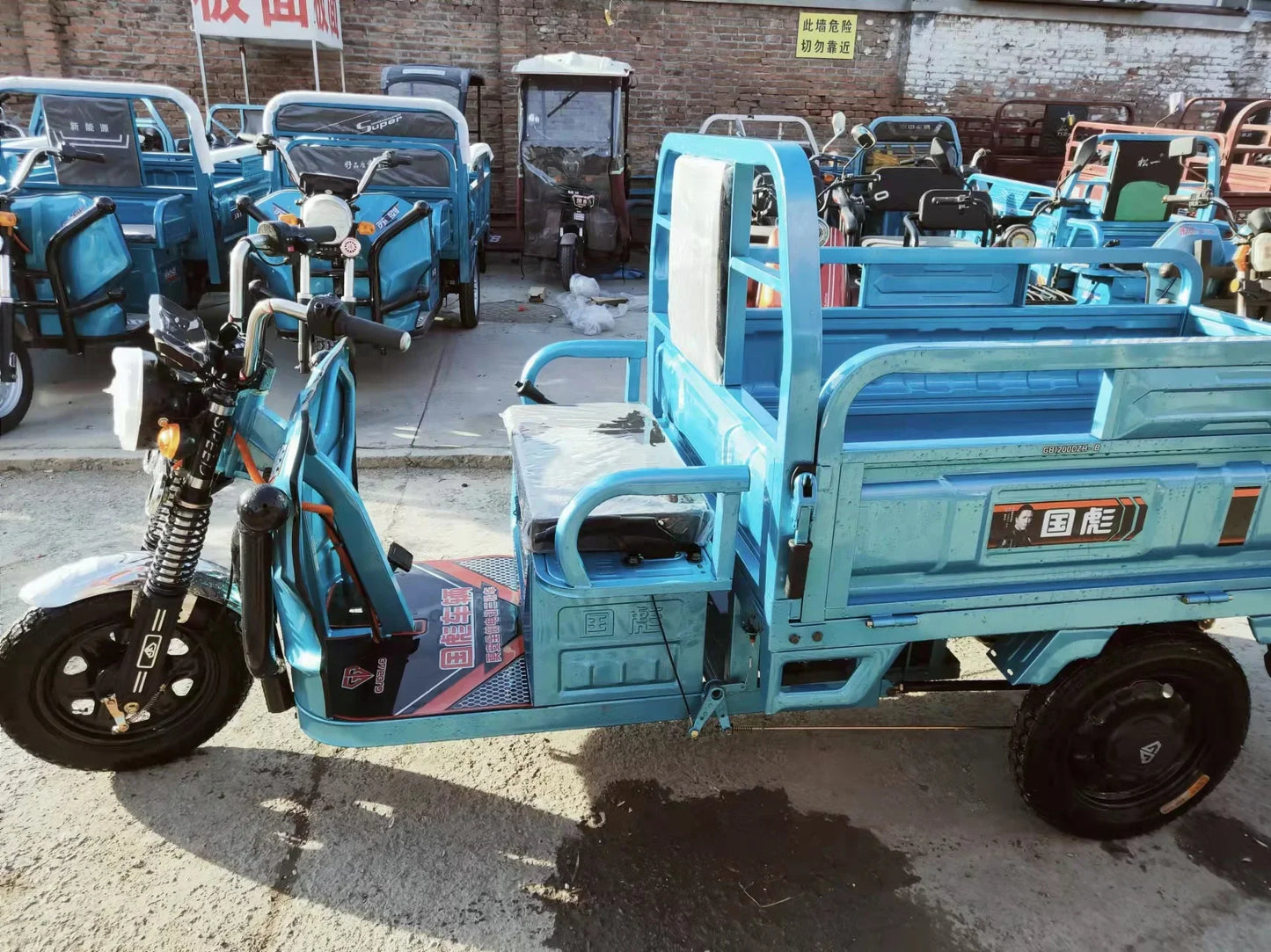 2024 In Stock Electric Passenger Tricycle 48v Three Wheel Electric Tricycle Open Body Type Scooter e-Trikes