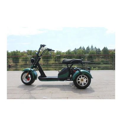 Three Wheel Electric Bicycle Bike Fat Tire Motor 2000w Electric Tricycle Fat Tyre 3 Wheel Electric Mountain Ebike