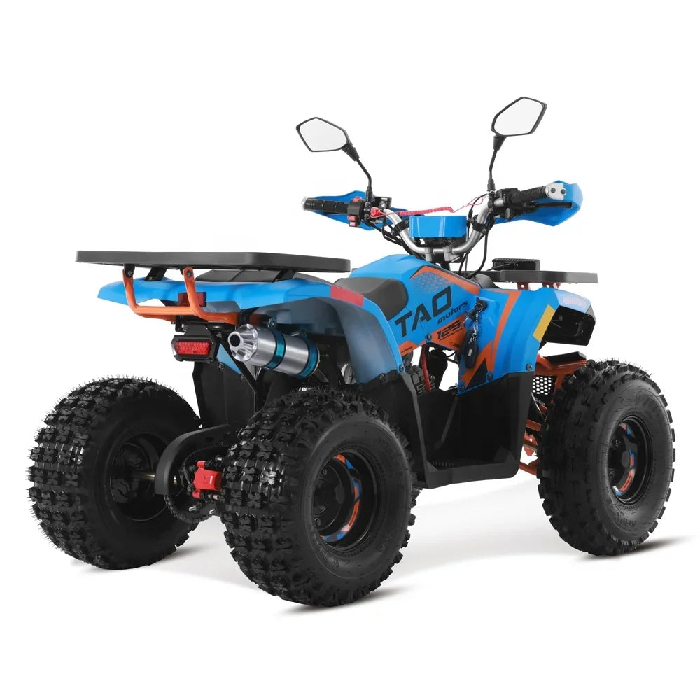 Tao Motor 2024 Farm Cheap Quad Bike Automatic 4 stroke engine Chain Drive 125cc ATV for kids