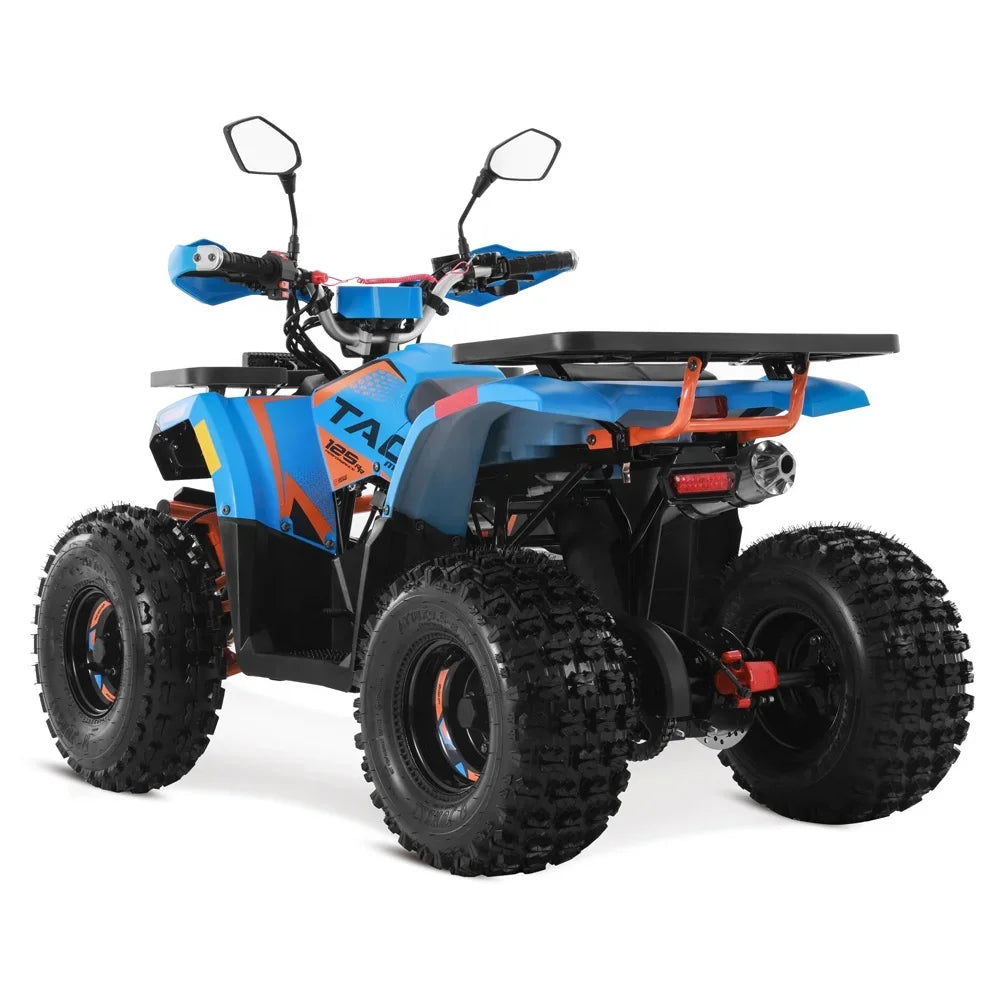 Tao Motor 2024 Farm Cheap Quad Bike Automatic 4 stroke engine Chain Drive 125cc ATV for kids