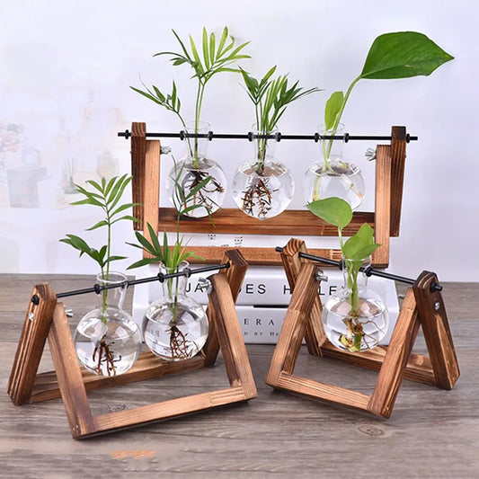 Vintage Hydroponic Plant Vases Glass Vase Vintage Bonsai Flower Pot Terrarium Tabletop Tray Wooden Frame Home Decoration