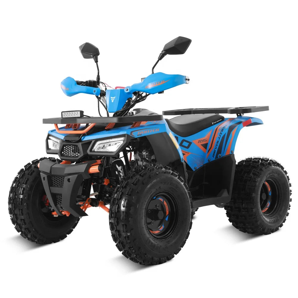 Tao Motor 2024 Farm Cheap Quad Bike Automatic 4 stroke engine Chain Drive 125cc ATV for kids