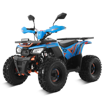 Tao Motor 2024 Farm Cheap Quad Bike Automatic 4 stroke engine Chain Drive 125cc ATV for kids