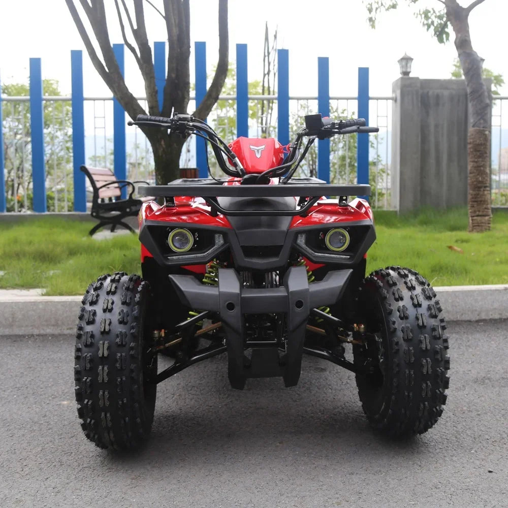 Tao Motor Drum Automatic 125CC Disc 110cc 125cc Quad Bike Atv for Kids 36V Electric Start Utv 4x4 1000cc Chain Drive Atv 125 2WD