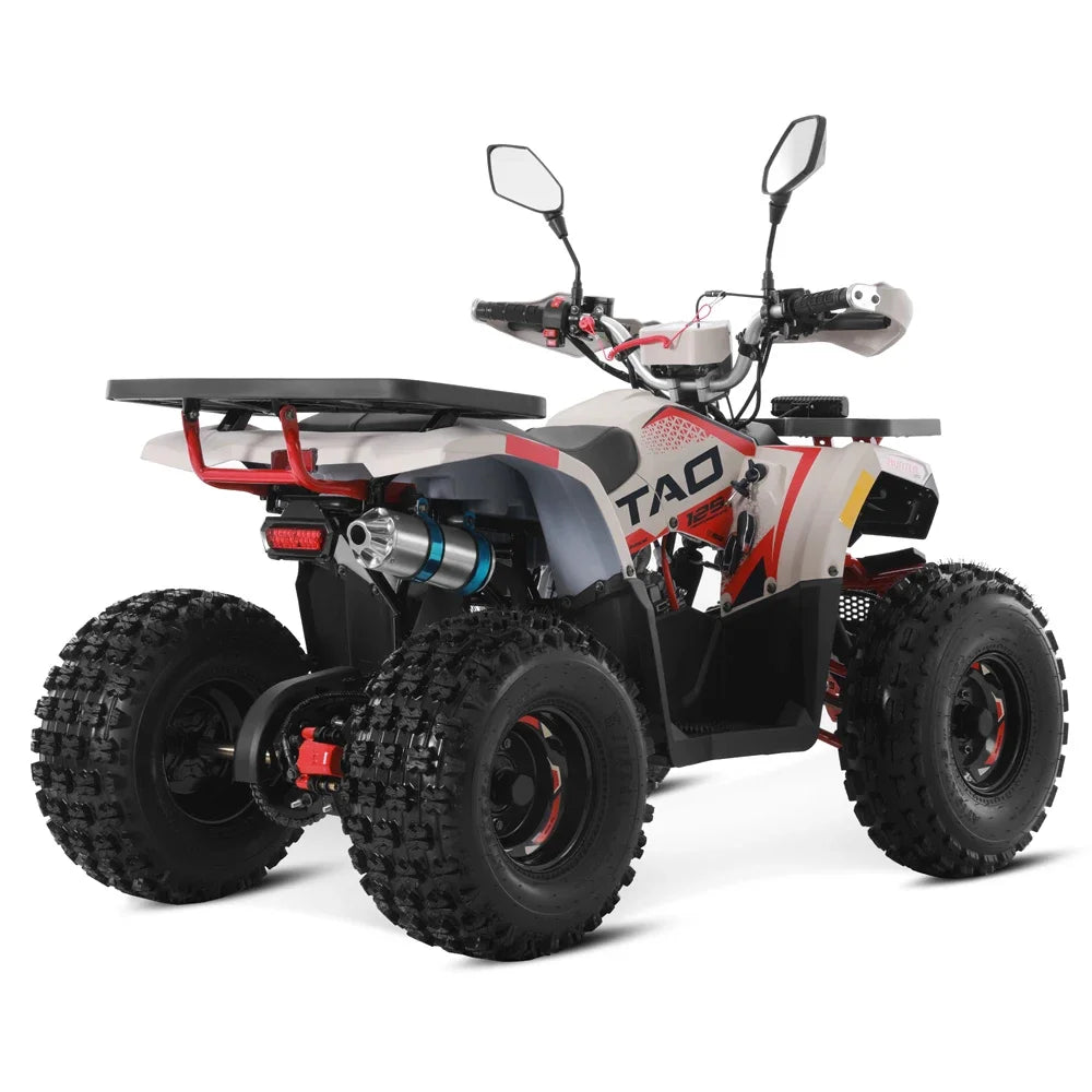 Tao Motor 2024 Off Road Farm Cheap ATV Gas Powered 4 wheel Quad Bike Automatic 4 stroke engine 125cc ATV for Kids