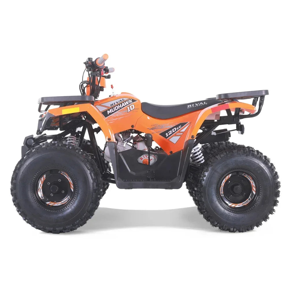 Tao Motor 2024 New Anutomatic Chain Drive Kids 110cc Quad ATV