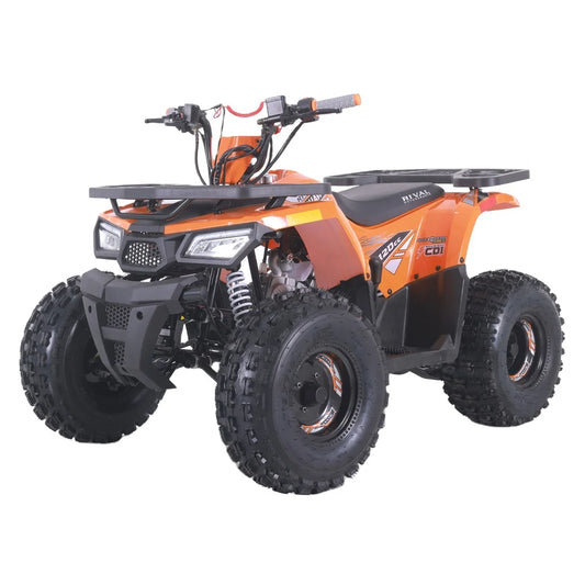 Tao Motor 2024 New Anutomatic Chain Drive Kids 110cc Quad ATV