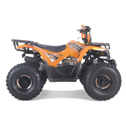 Tao Motor 2024 New Anutomatic Chain Drive Kids 110cc Quad ATV