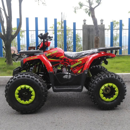 Tao Motor Drum Automatic 125CC Disc 110cc 125cc Quad Bike Atv for Kids 36V Electric Start Utv 4x4 1000cc Chain Drive Atv 125 2WD