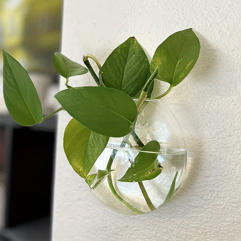 Semi-circular Glass Wall Hanging Vase Flower Glass Vase Plant Hydroponic Terrarium Wall Fish Tank Aquarium Container Home Decor