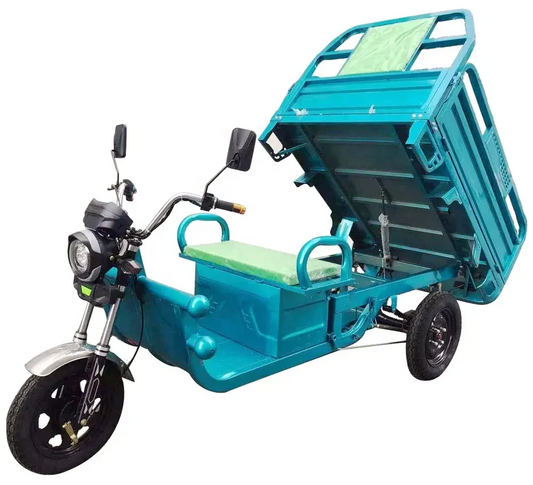 Adult Electric Tricycle Bike Genre Electric Tricycles for Everyday Use