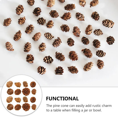 100 Pcs Songhwa Photo Props Garland Pine Cone Crafts Small Cones Ornaments Artificial Creative Wreath