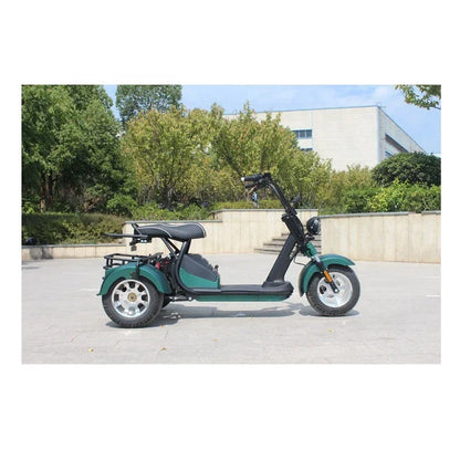 Three Wheel Electric Bicycle Bike Fat Tire Motor 2000w Electric Tricycle Fat Tyre 3 Wheel Electric Mountain Ebike